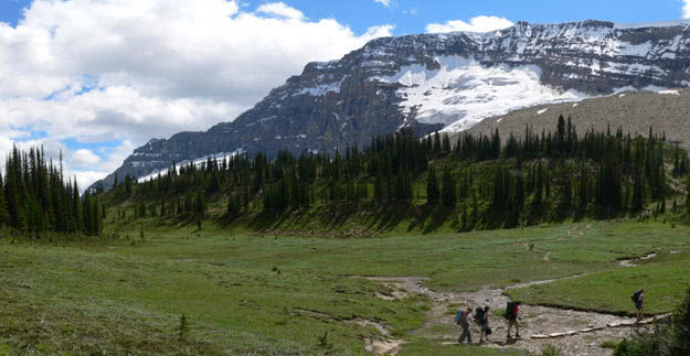 In Yoho Valley glorious hiking trails weave along high alpine plateaus.